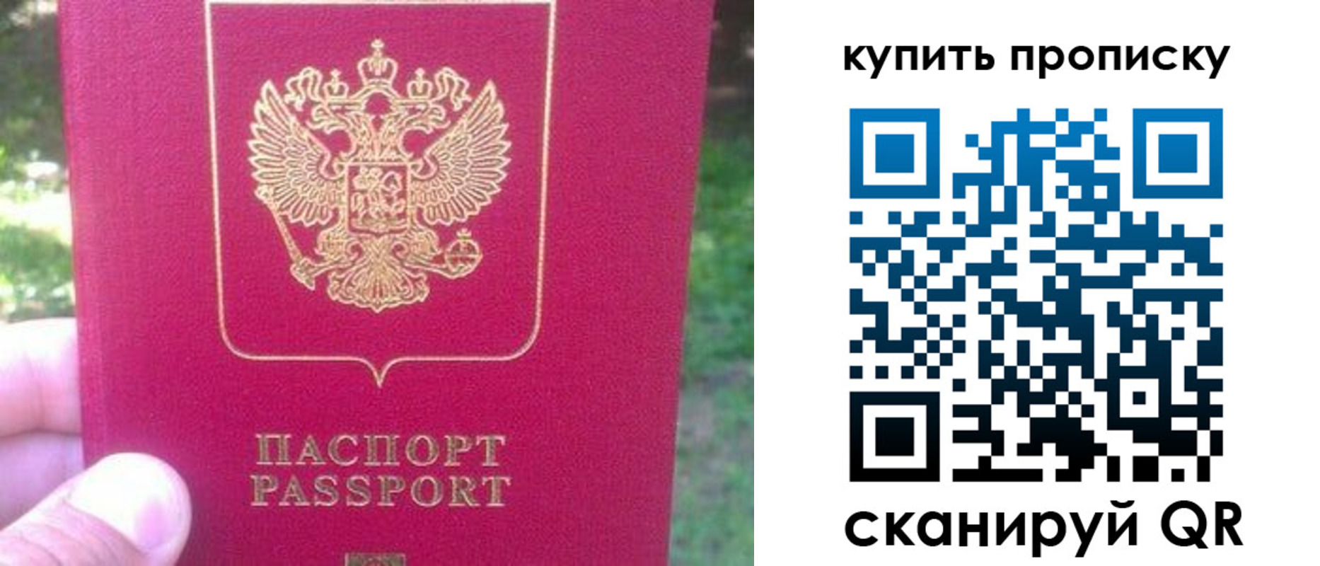 временная регистрация для школы в Елизово