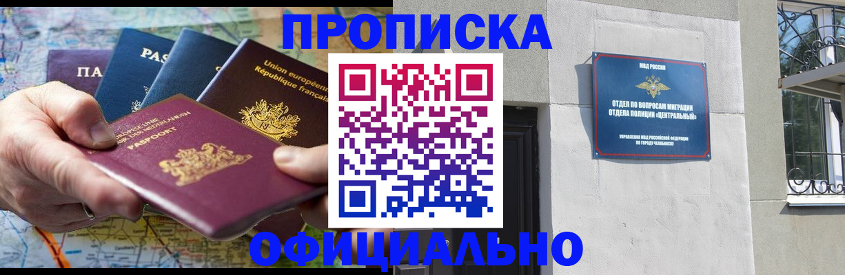 прописка 2025 в Елизово